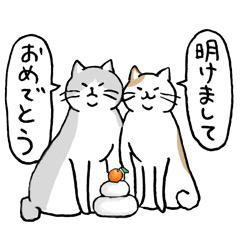 Japanese Bobtail cat part.8