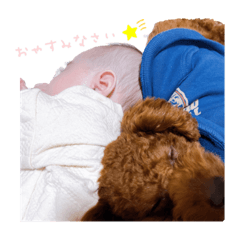 kinaco_20221212014156