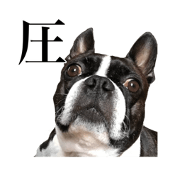 Chisa_20221211165229