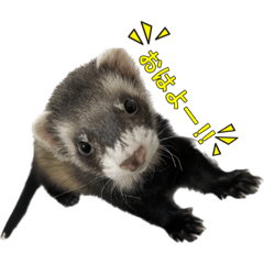 mugiiicha