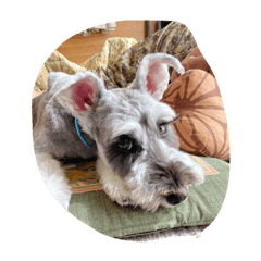 SATOSHI_20221211194554