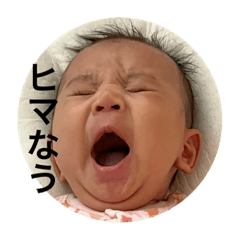 HIKARI_20221211202330