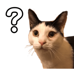 Mizuki_20221211203136