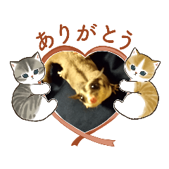 sachiko_20221211225928