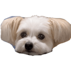 mizuki_20221211182142