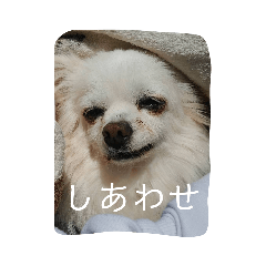 hana_20221211210313