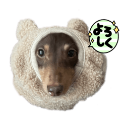 ruru_20221212020927