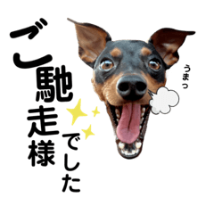 ピンシャーグリュック③