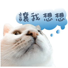 gulife no.1
