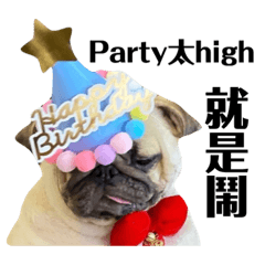 Crazy pug party time OKU 4