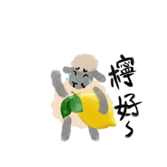 Zed the sheep
