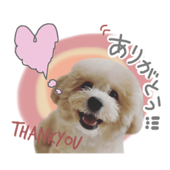 aoi_20221212144922