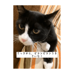 Aoi_20221211203651