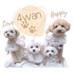 hana_20221212124252