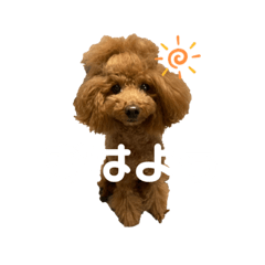 hana_20221212143234