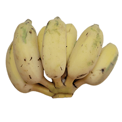 Food Series : Some Banana (Plantain) #2