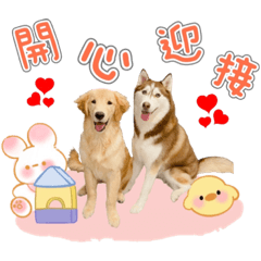 漂亮寶貝賣萌日常