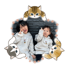 Shiho_20221212230754