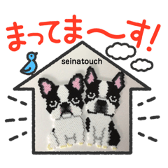 seinatouchフレンチブル&ボストンテリア