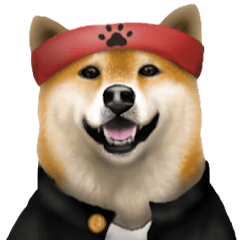 As expected! Shiba Inu/gentle honorific