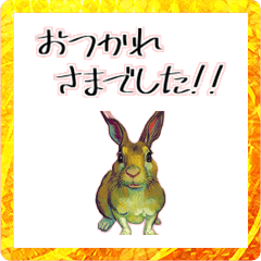 "New Year" Rabbit  Sticker