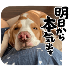 Tommy_20221214021210