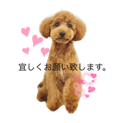 ruru_20221214081707
