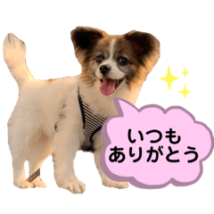 Koz_20221213170310