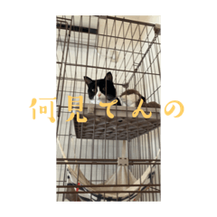 Aoi_20221214053816