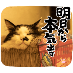 minayuu_20221213224401