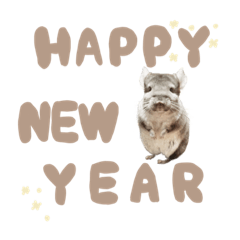 tanuki_20221213201857
