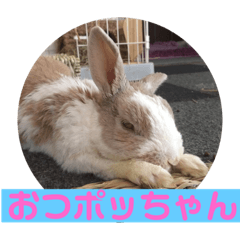 ポッちゃんかい？