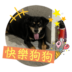 奇異果精靈+西瓜精靈2