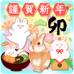 Year of the rabbit Sticker. 2023