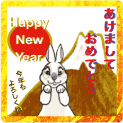 Rabbit  Lover/New year holiday season