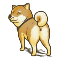 Shiba inu-Doo John-Part II