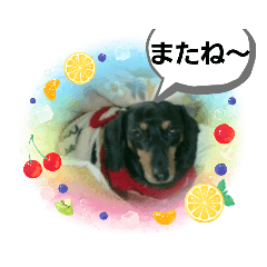 megumi_20221214151012
