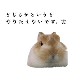 natsumi_20221215075743