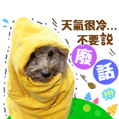 2022WU氏