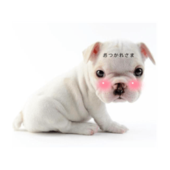 tono_20221214165941