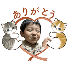 tom_20221214165658