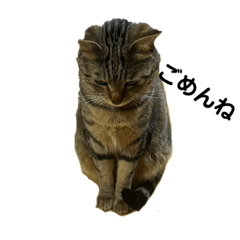 kinaco_20221214223042