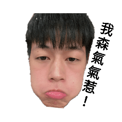 木木桑