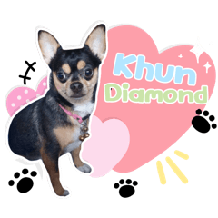 Khun Diamond