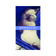 SHIHO_20221214175821