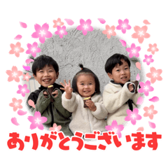 AOI_20221215145449
