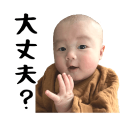 Yanagi_20221215125142
