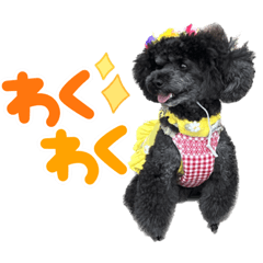 suzu_20221215141831