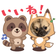 tanuki_20221216091022