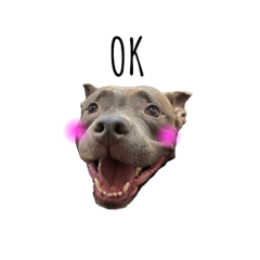 Lanchan_20221216085247